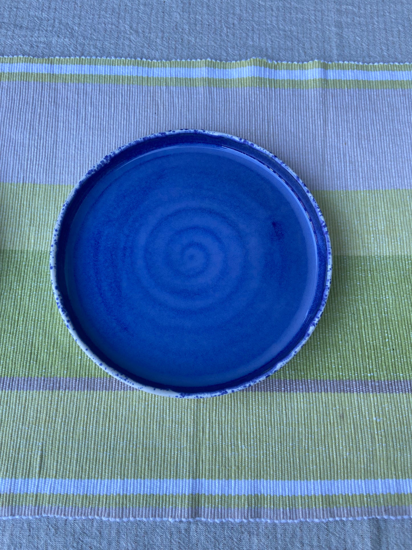 Vibrant Blue and Speckle Plate 2