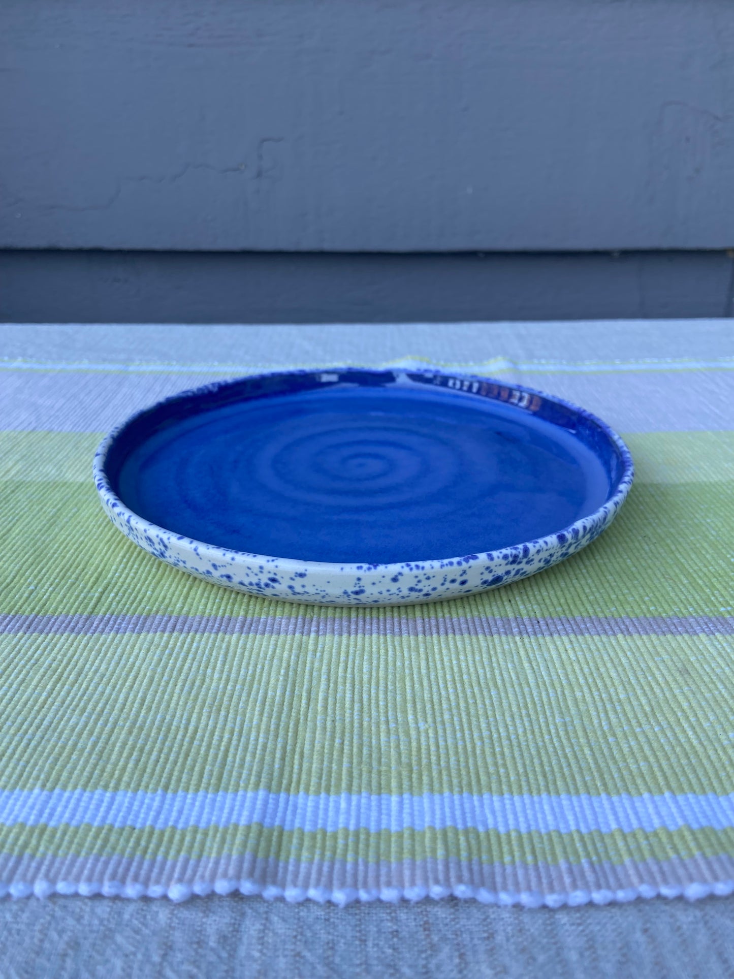 Vibrant Blue and Speckle Plate 2