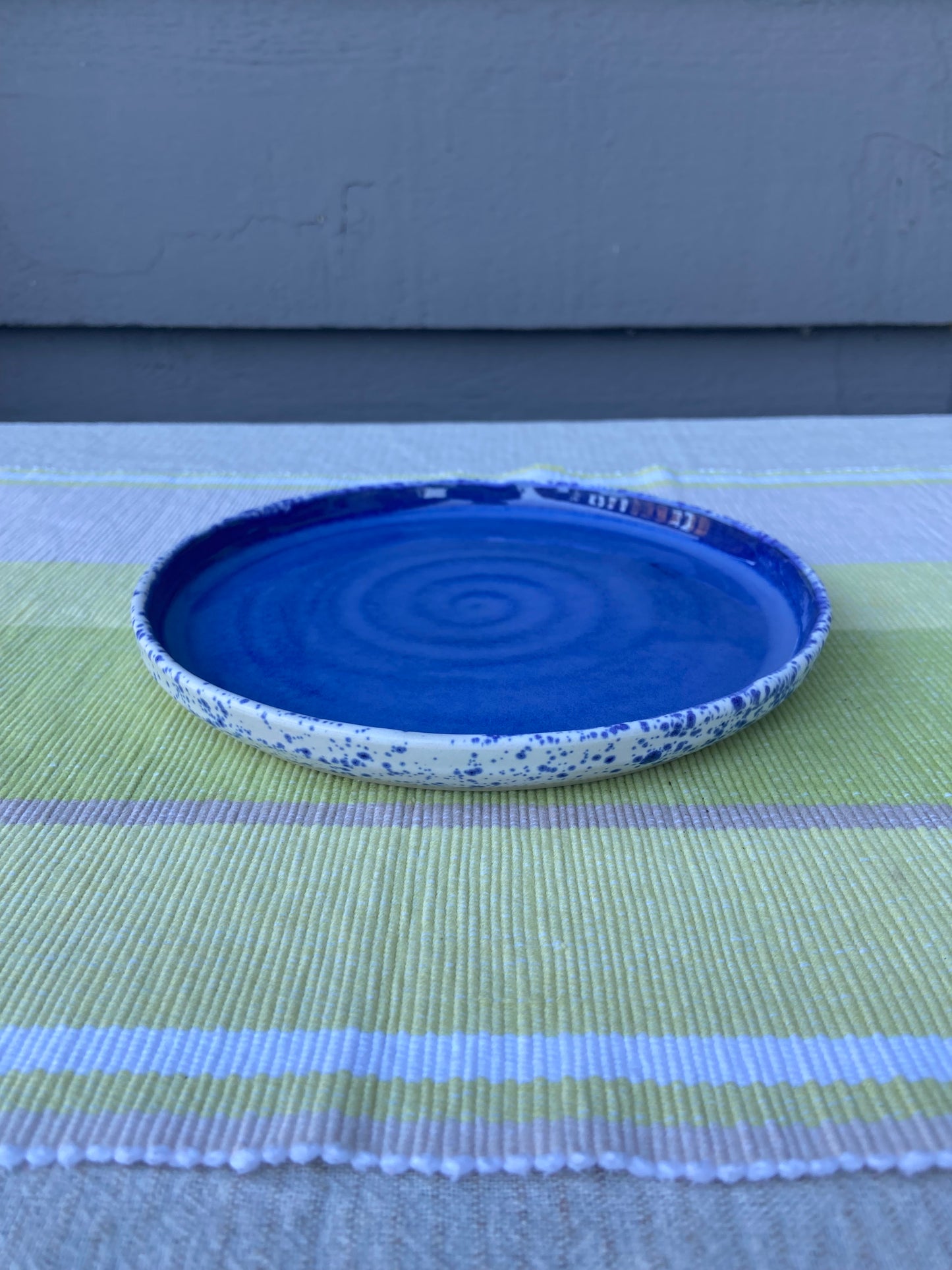 Vibrant Blue and Speckle Plate 2