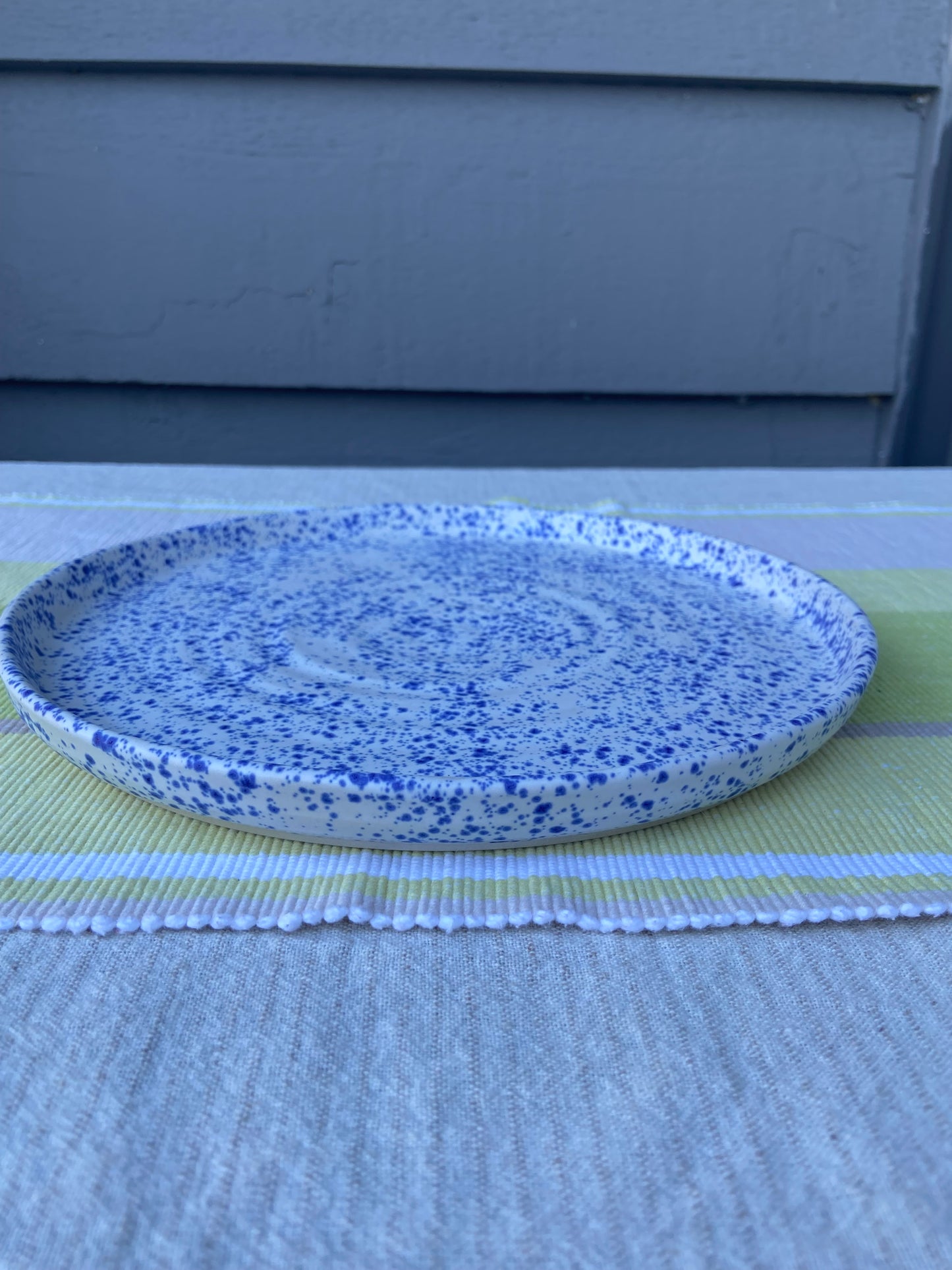 Blue Speckle Plate