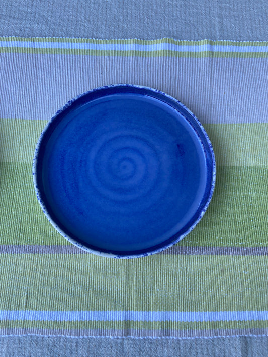 Vibrant Blue and Speckle Plate 2