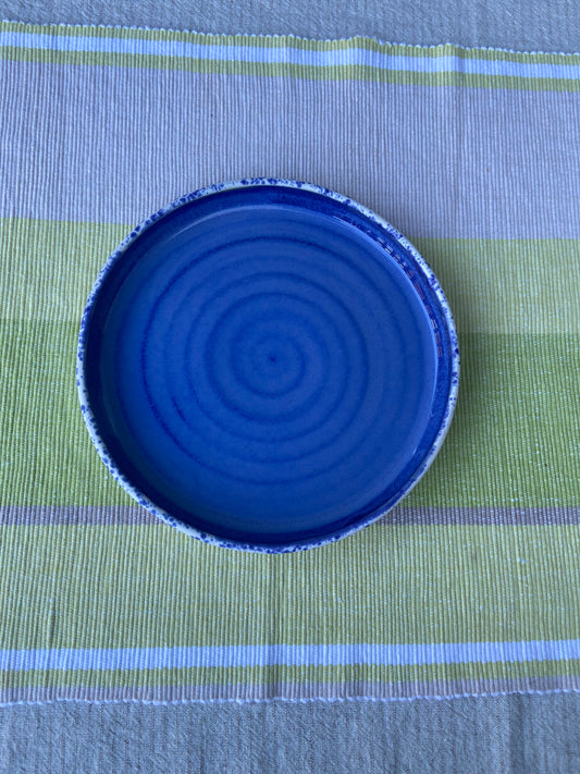 Vibrant Blue and Speckle Plate