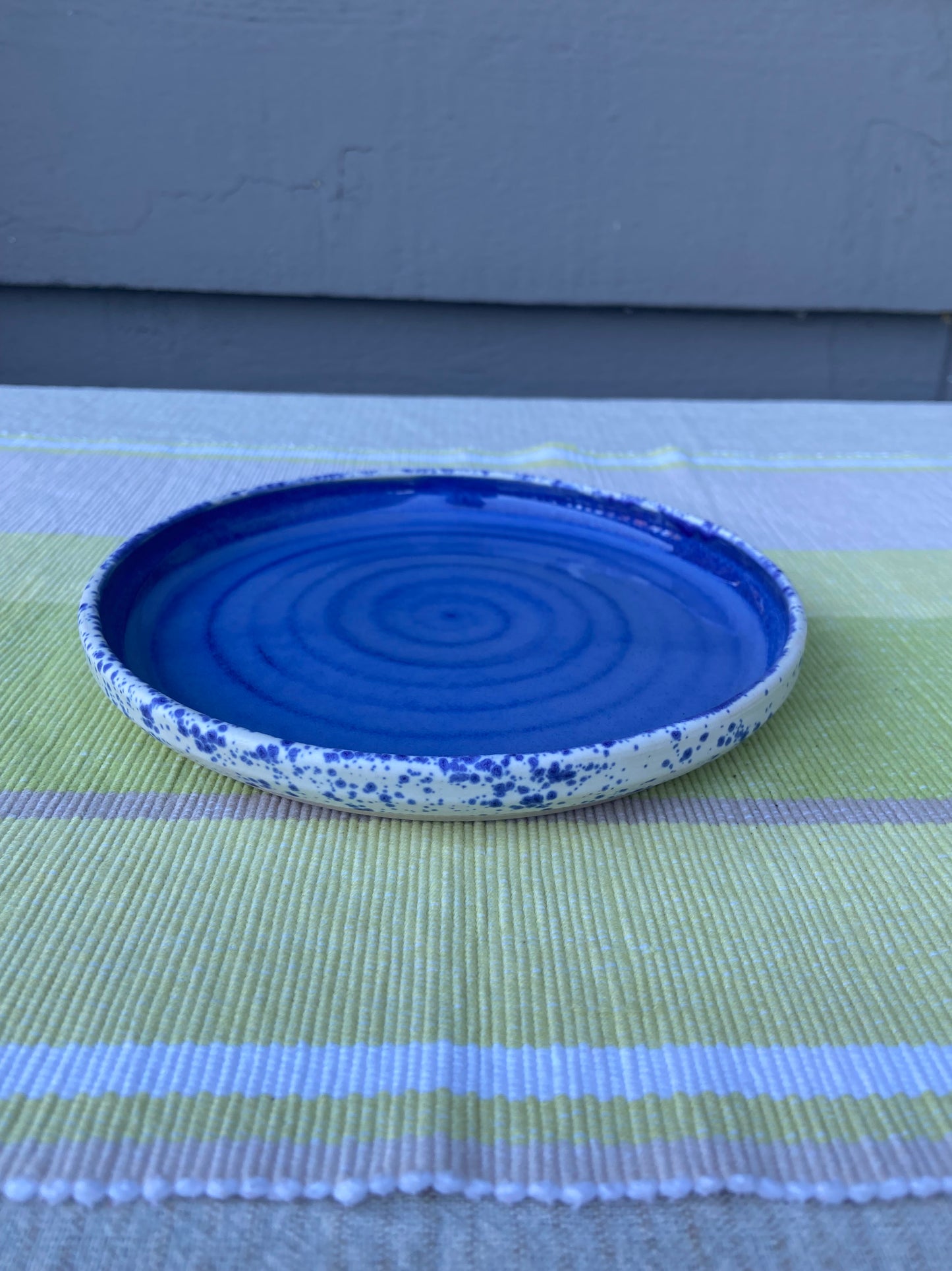 Vibrant Blue and Speckle Plate