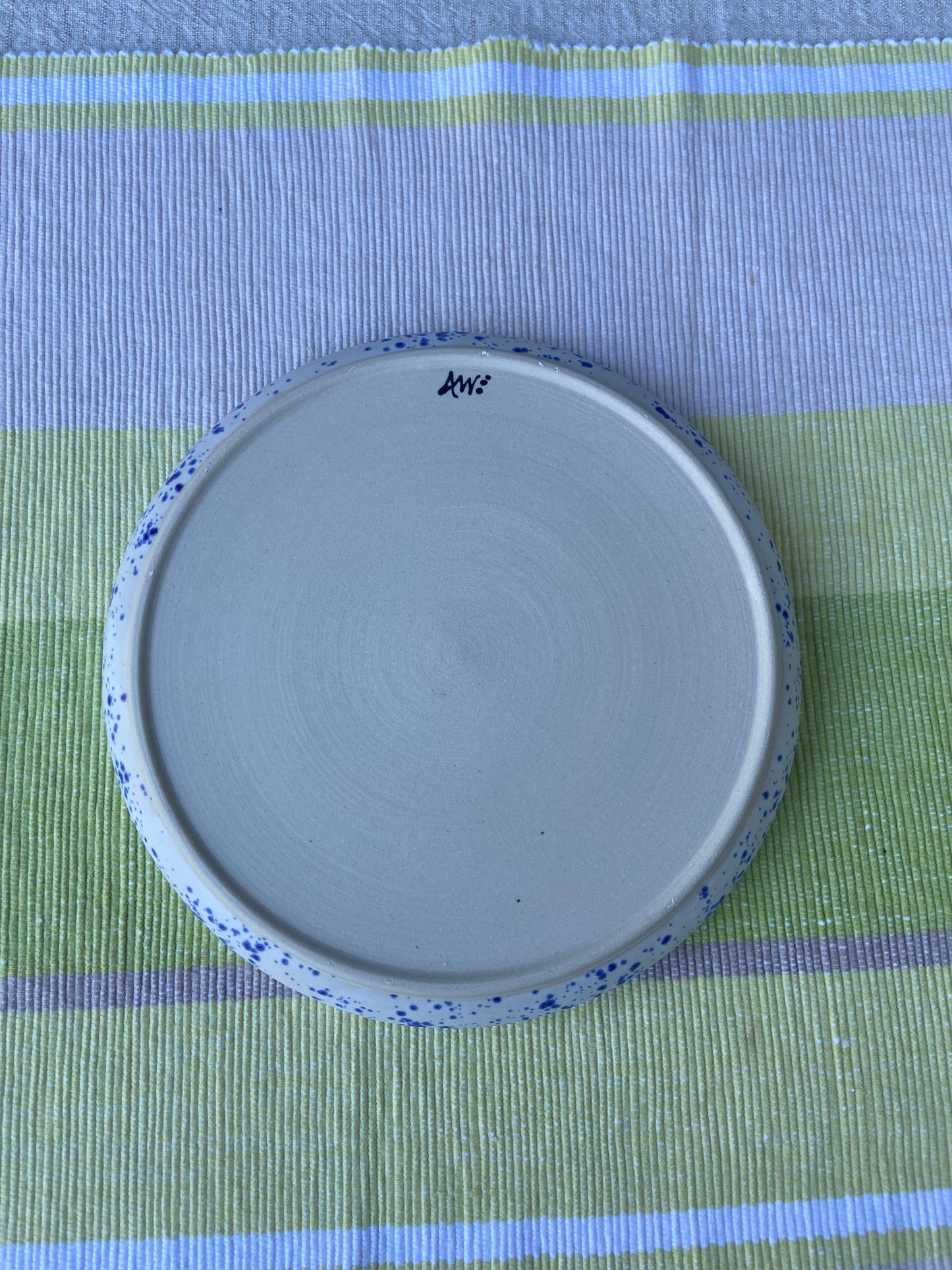 Vibrant Blue and Speckle Plate